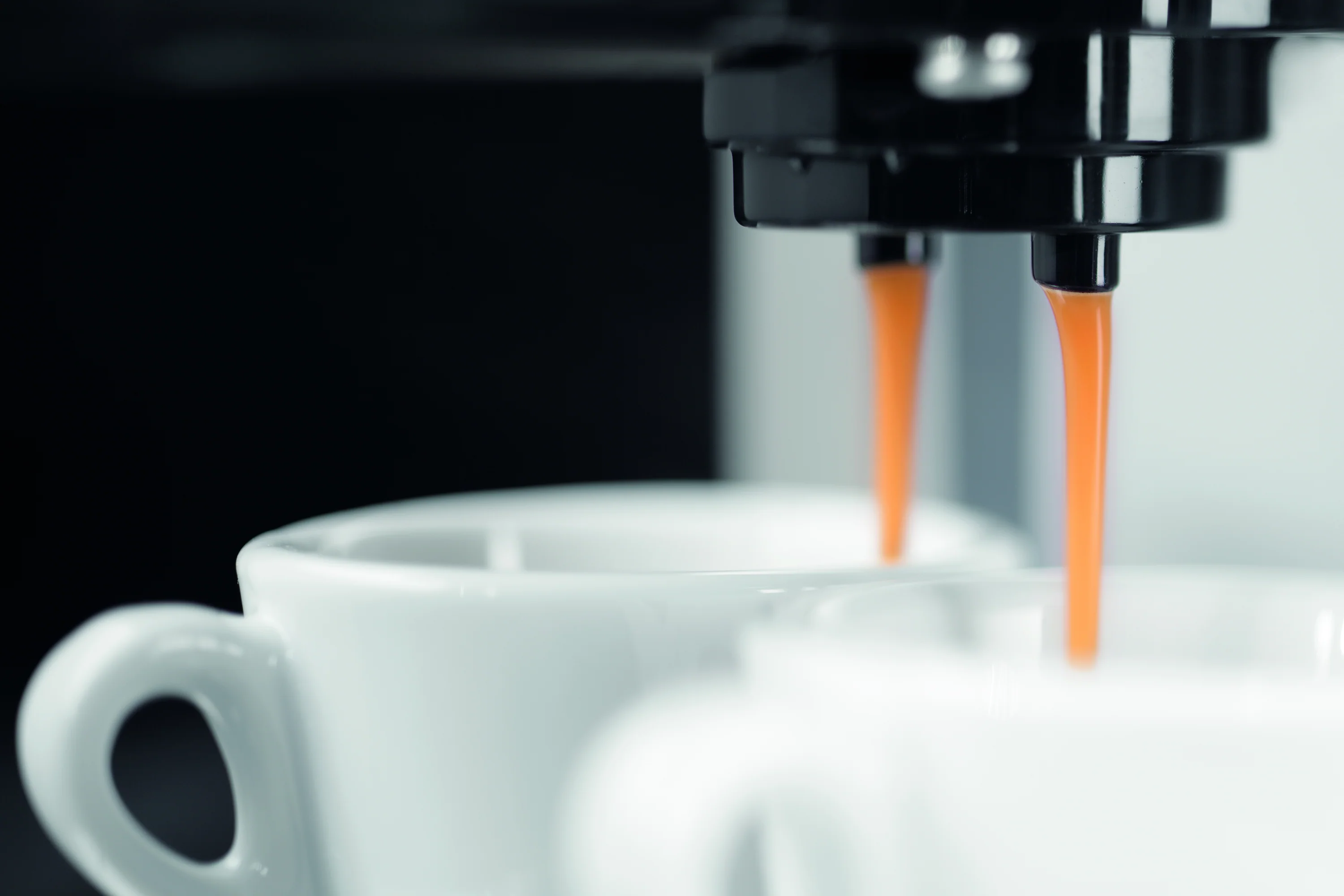 Gaggia Carezza Deluxe - Image 14